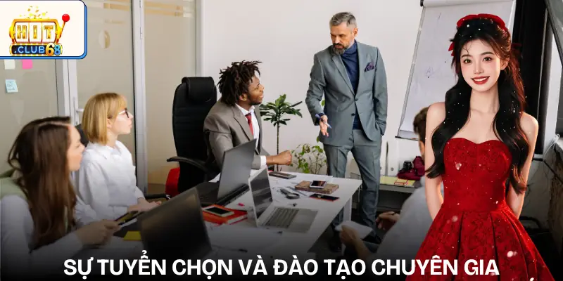 doi ngu chuyen gia tuyen chon doi ngu chuyen gia tuyen chon